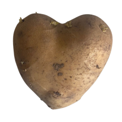 potato heart